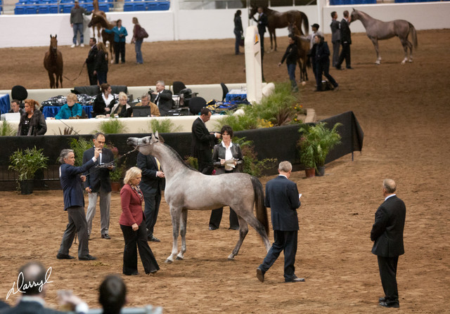 2012 Scottsdale Show Photos | Darryl Larson