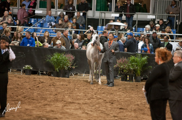 2012 Scottsdale Show Photos | Darryl Larson