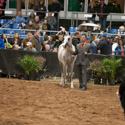 2012 Scottsdale Show Photos | Darryl Larson