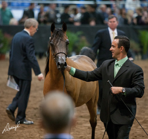 2012 Scottsdale Show Photos | Darryl Larson