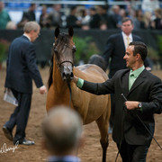 2012 Scottsdale Show Photos | Darryl Larson