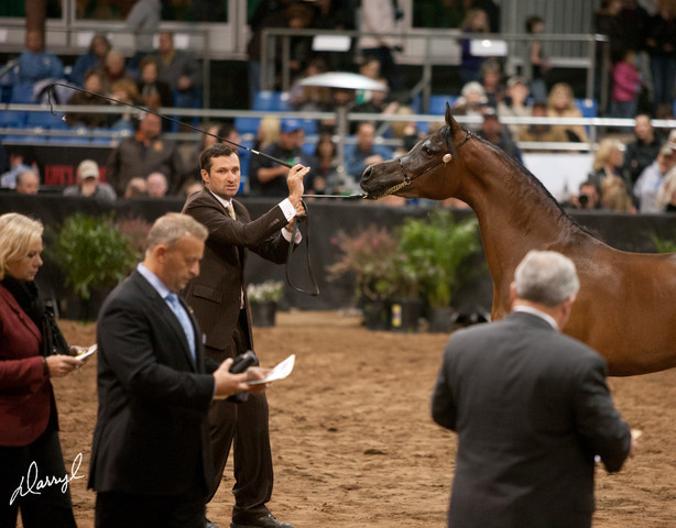 2012 Scottsdale Show Photos | Darryl Larson