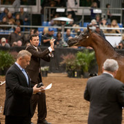 2012 Scottsdale Show Photos | Darryl Larson