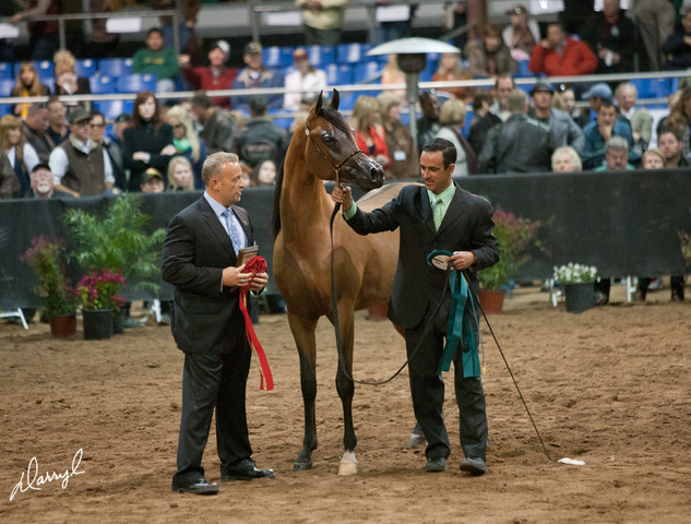 2012 Scottsdale Show Photos | Darryl Larson