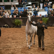 2012 Scottsdale Show Photos | Darryl Larson