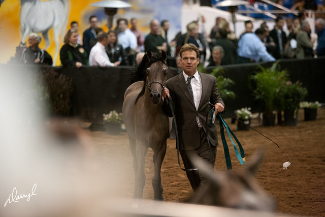 2012 Scottsdale Show Photos | Darryl Larson