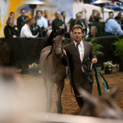 2012 Scottsdale Show Photos | Darryl Larson