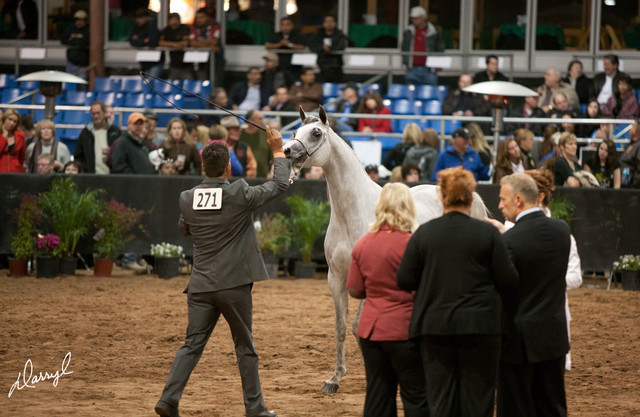 2012 Scottsdale Show Photos | Darryl Larson