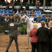 2012 Scottsdale Show Photos | Darryl Larson