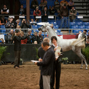 2012 Scottsdale Show Photos | Darryl Larson