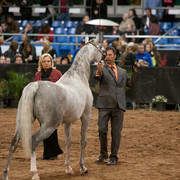 2012 Scottsdale Show Photos | Darryl Larson