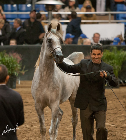 2012 Scottsdale Show Photos | Darryl Larson