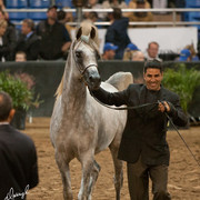 2012 Scottsdale Show Photos | Darryl Larson