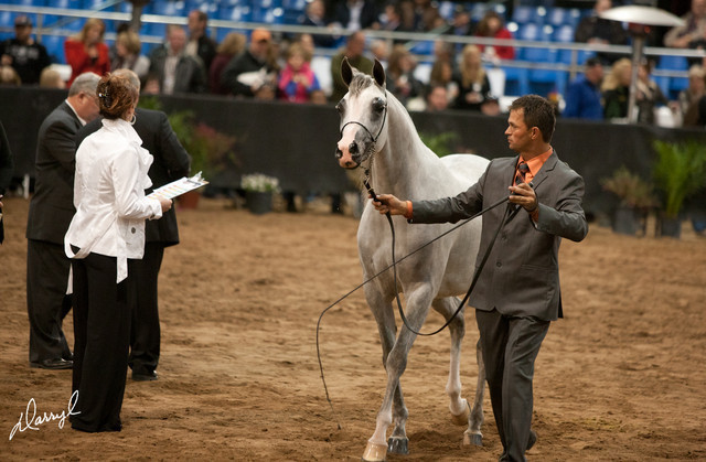2012 Scottsdale Show Photos | Darryl Larson