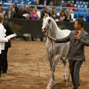 2012 Scottsdale Show Photos | Darryl Larson