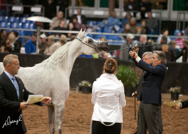 2012 Scottsdale Show Photos | Darryl Larson