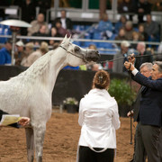 2012 Scottsdale Show Photos | Darryl Larson