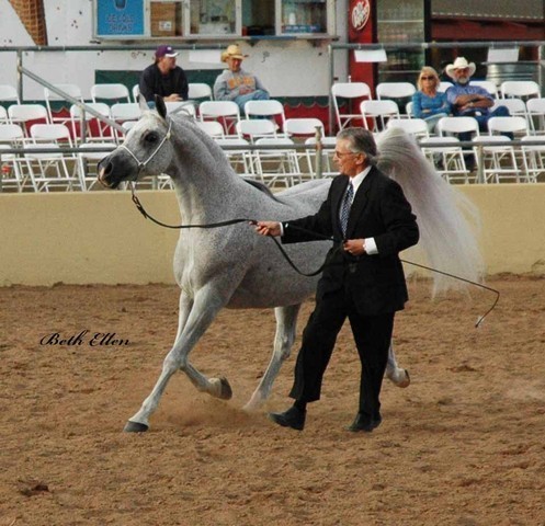 2012 Scottsdale Show Photos | Beth Hunziker