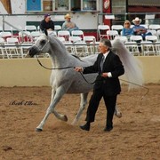 2012 Scottsdale Show Photos | Beth Hunziker