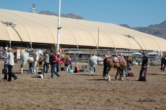 2012 Scottsdale Show Photos | Beth Hunziker