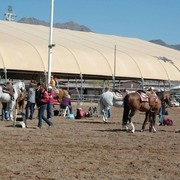 2012 Scottsdale Show Photos | Beth Hunziker