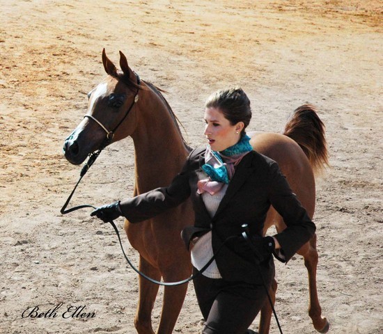 2012 Scottsdale Show Photos | Beth Hunziker