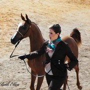 2012 Scottsdale Show Photos | Beth Hunziker
