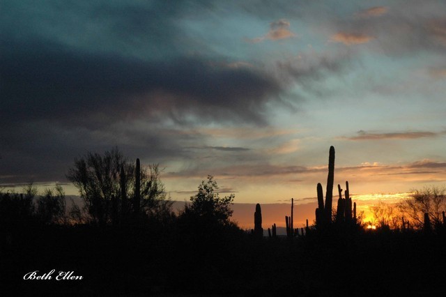 2012 Scottsdale Show Photos | Beth Hunziker