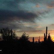 2012 Scottsdale Show Photos | Beth Hunziker