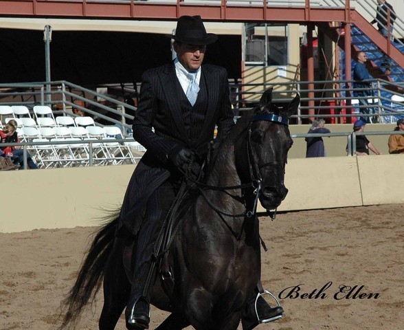 2012 Scottsdale Show Photos | Beth Hunziker