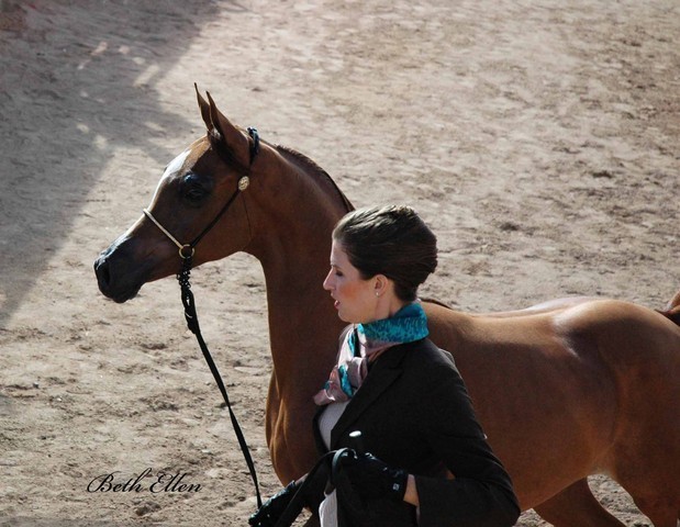 2012 Scottsdale Show Photos | Beth Hunziker