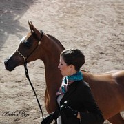 2012 Scottsdale Show Photos | Beth Hunziker