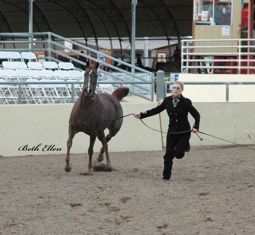 2012 Scottsdale Show Photos | Beth Hunziker