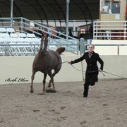 2012 Scottsdale Show Photos | Beth Hunziker