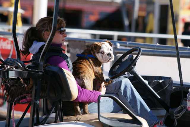 2012 Scottsdale Show Photos