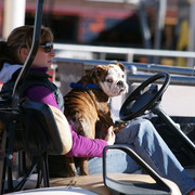 2012 Scottsdale Show Photos