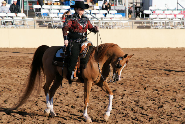 2012 Scottsdale Show Photos