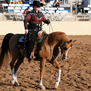 2012 Scottsdale Show Photos