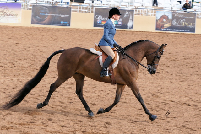2012 Scottsdale Show Photos