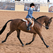 2012 Scottsdale Show Photos