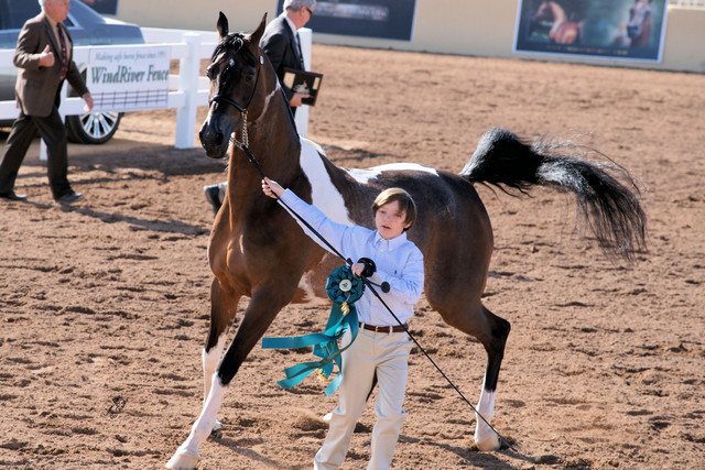 2012 Scottsdale Show Photos