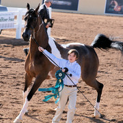 2012 Scottsdale Show Photos