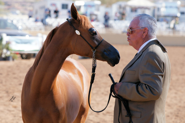 2012 Scottsdale Show Photos