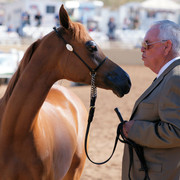 2012 Scottsdale Show Photos