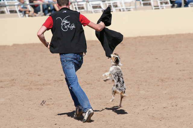 2012 Scottsdale Show Photos