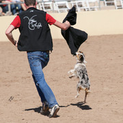 2012 Scottsdale Show Photos
