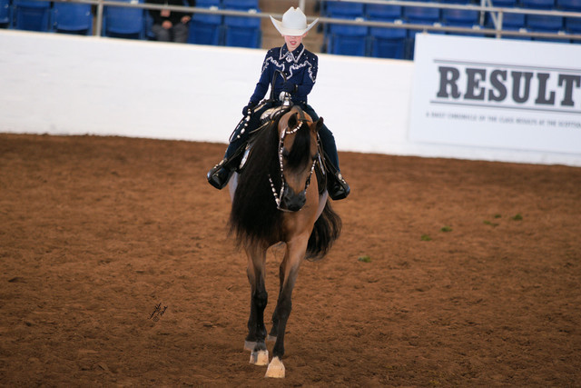 2012 Scottsdale Show Photos