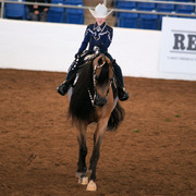 2012 Scottsdale Show Photos