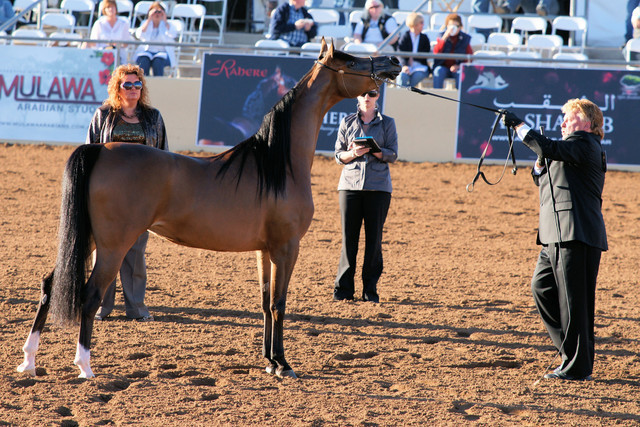2012 Scottsdale Show Photos