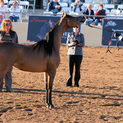 2012 Scottsdale Show Photos